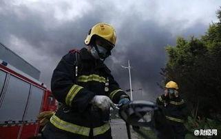 消防员 在线观看,消防员在线直播，英勇瞬间实时呈现  第2张